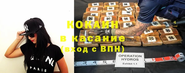дживик Лагань