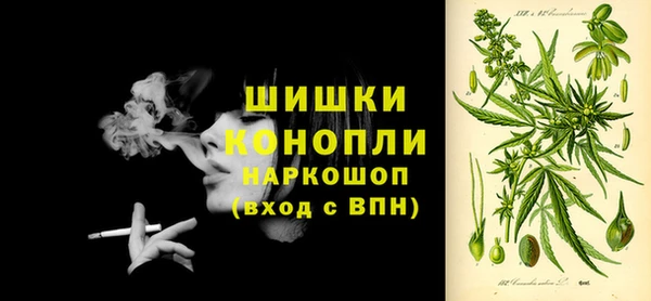 крисы Лабытнанги