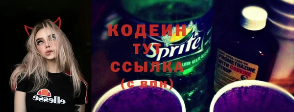 крисы Лабытнанги