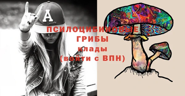 крисы Лабытнанги