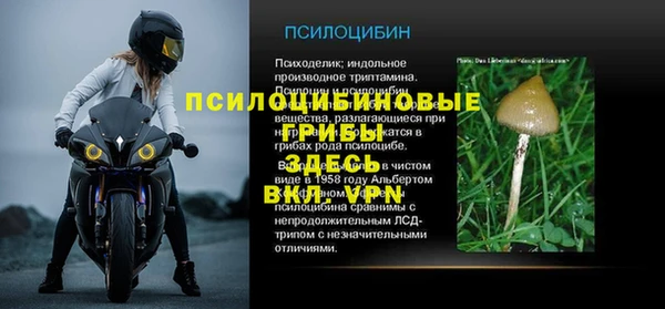дживик Лагань