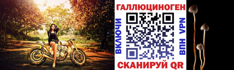 купить наркоту  Ленинградская  Псилоцибиновые грибы мицелий 